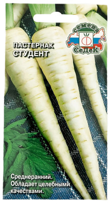 Пастернак студент СеДеК