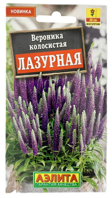 Вероника колосистая лазурная АЭЛИТА Вероника колосистая лазурная АЭЛИТА