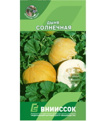 Дыня Солнечная 10 шт. Внииссок