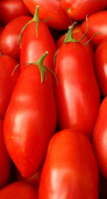 Томат Фрегат красный 10шт