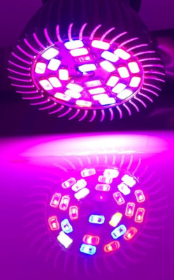 Лампа для растений Био Фито 28W 15 кр. + 7 син. + 4 бел. + 1IR + 1UV E27