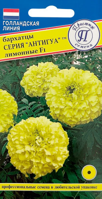 Бархатцы Антигуа Лимонные прямостоячие 5шт
