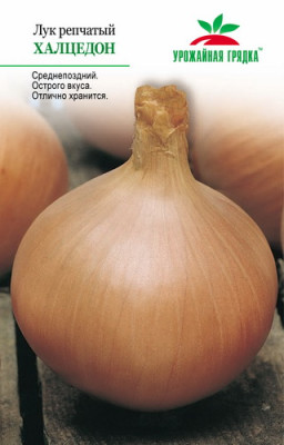 Лук репчатый Халцедон УГ