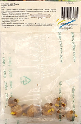 Хохлатка  Бет Эванс (10шт)