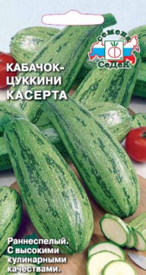 кабачок Касерта (Евро, 2) кабачок Касерта (Евро, 2)