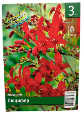 Крокосмия Люцифер
