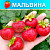 Земляника (Клубника) Мальвина в стаканчике