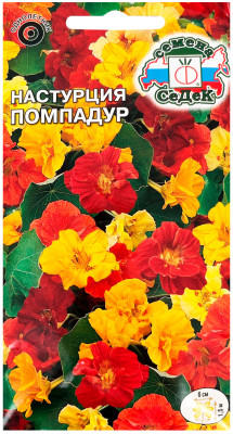Настурция вьющаяся Помпадур