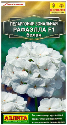 Пеларгония зональная РАФАЭЛЛА F1 БЕЛАЯ АЭЛИТА