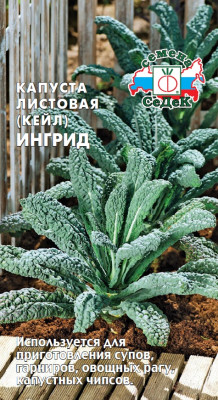 Капуста листовая Ингрид 0,3г