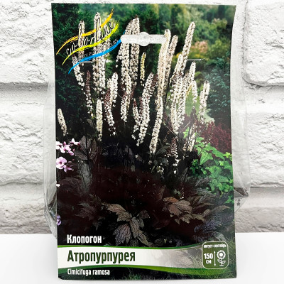 Клопогон АТРОПУРПУРЕЯ