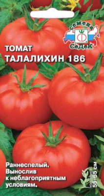 томат Талалихин 186