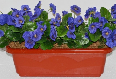 Кашпо Анютины глазки ЖЖ13475Д