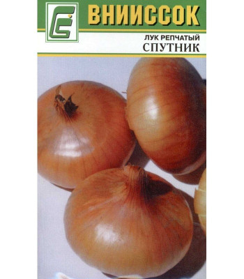 Лук репчатый Спутник