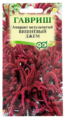 Амарант метельчатый ВИШНЁВЫЙ ДЖЕМ ГАВРИШ