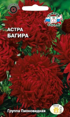 Астра Багира