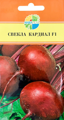 Свекла столовая Кардиал F1 АКВАРЕЛЬ