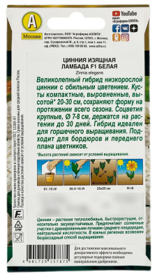 Цинния изящная ЛАМБАДА F1 белая АЭЛИТА описание