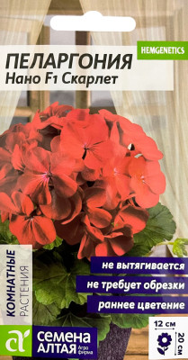 Пеларгония Нано F1 Скарлет 3шт