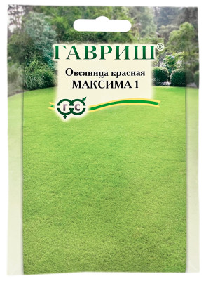 Овсяница красная Максима 1 ГАВРИШ