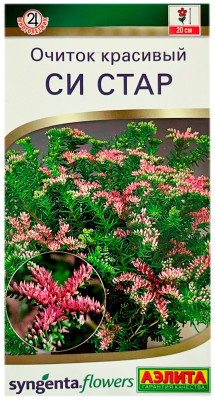 Очиток красивый СИ СТАР АЭЛИТА