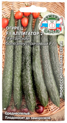 Огурец F1 АЛЛИГАТОР 2 СеДеК