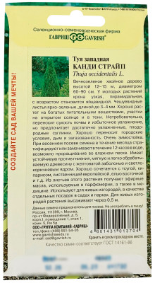 Туя западная Канди Страйп ГАВРИШ описание