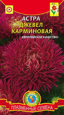 Астра Джевел Карминовая