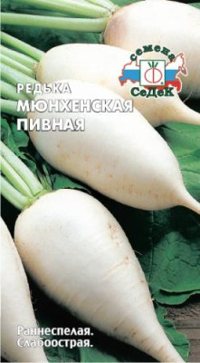 Редька Мюнхен Бир