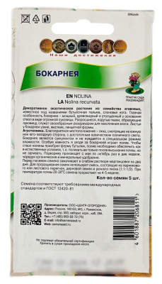 Бокарнея ПОИСК описание