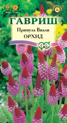 Примула Виали Орхид* 10 шт. Н12