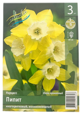 Нарцисс ПИПИТ