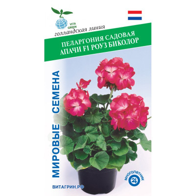 Пеларгония Апачи Роуз Биколор 5шт