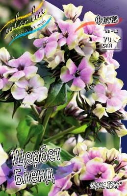 Флокс Неон Щербет Бленд (2шт)