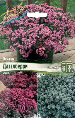 Очиток Даззлберри саженцы (Р9)