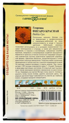Георгина Фигаро красная ГАВРИШ описание
