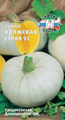 Тыква Волжская серая 92