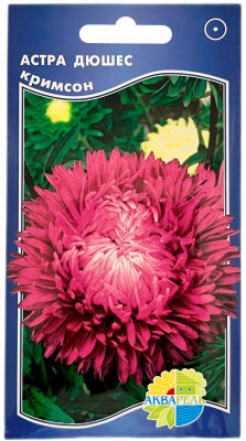 Астра ДЮШЕС кримсон АКВАРЕЛЬ