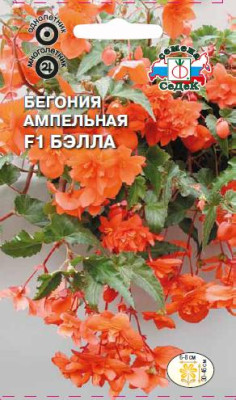 Бегония Бэлла F1 (ампельная,оранжево-лососевая) (Евро, 10)