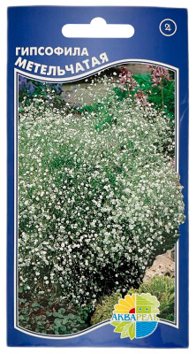 Гипсофила МЕТЕЛЬЧАТАЯ АКВАРЕЛЬ