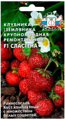 Земляника Сластена F1 ремонтантная крупноплодная (клубника) (Евро 15)