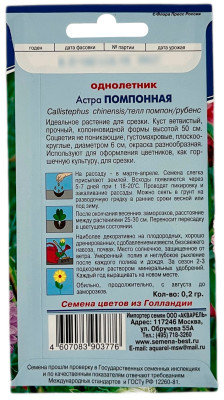 Астра ПОМПОННАЯ АКВАРЕЛЬ описание