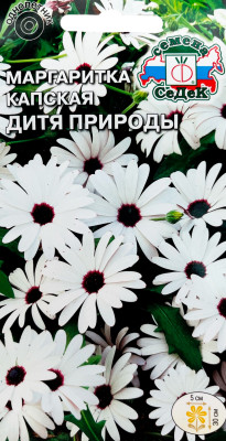 Маргаритка капская Дитя природы (остеоспермум) (Евро, 0,1)