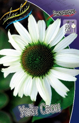 Эхинацея Уайт Свон (1шт) 1688