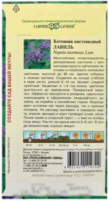 Котовник кистевидный ЛАВИЛЬ ГАВРИШ описание