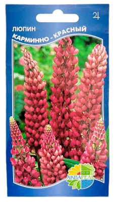 Люпин КАРМИННО-КРАСНЫЙ АКВАРЕЛЬ