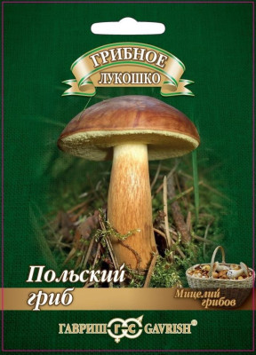 Грибы Польский гриб на зерновом субстрате 15 мл Грибы Польский гриб на зерновом субстрате 15 мл