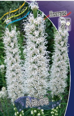 Лиатрис Альба (10шт) 1795