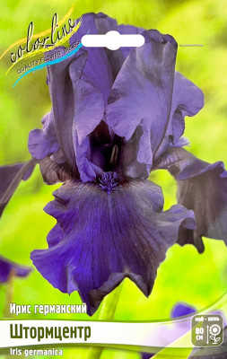 Ирис Штормцентр (1шт)