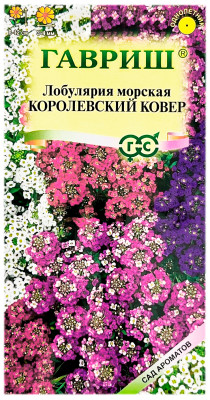 Лобулярия морская КОРОЛЕВСКИЙ КОВЕР ГАВРИШ